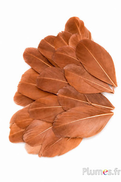 Blütenblätter aus Federn - 6-8 x 3-4 cm- kastanie